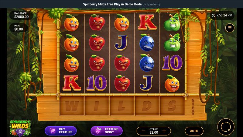 Spinberry Wilds slot game artwork
