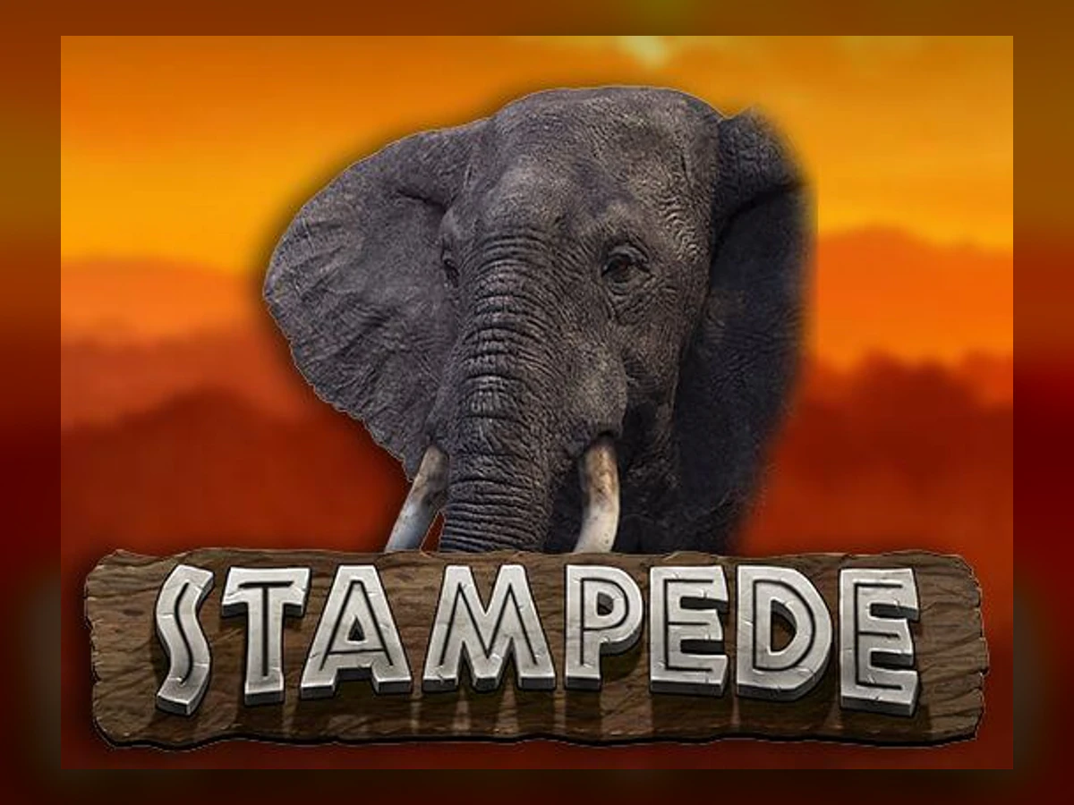 Stampede slot game artwork