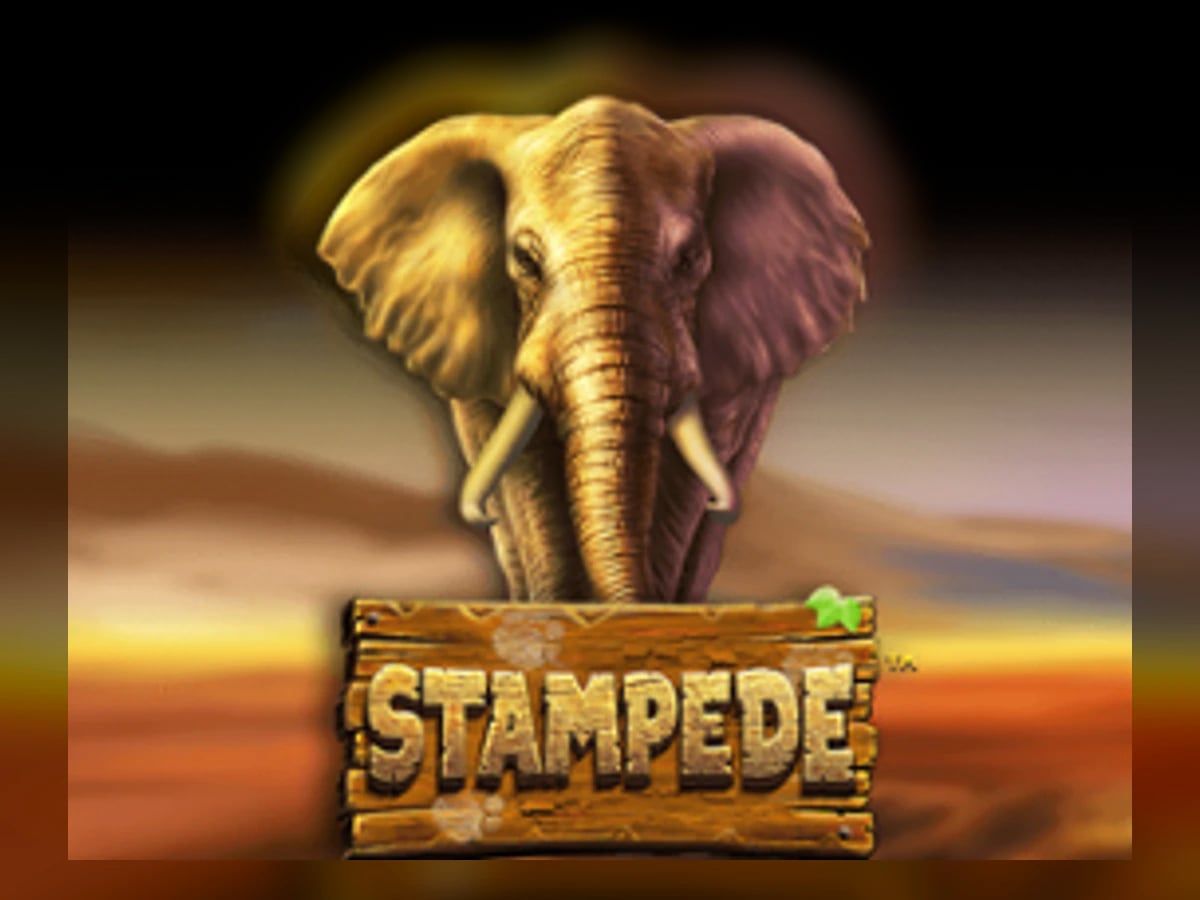 Stampede slot game artwork