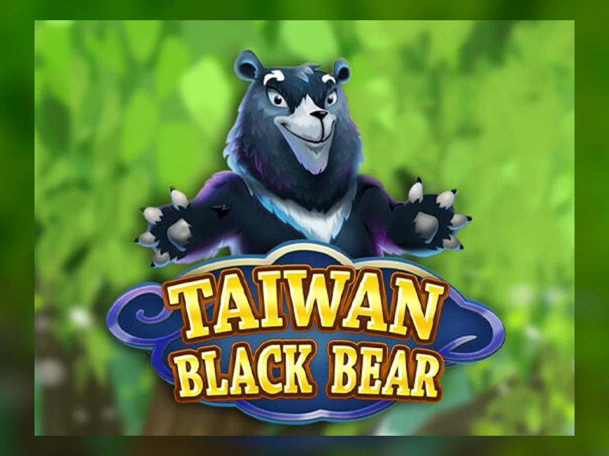 Taiwan Black Bear slot game artwork