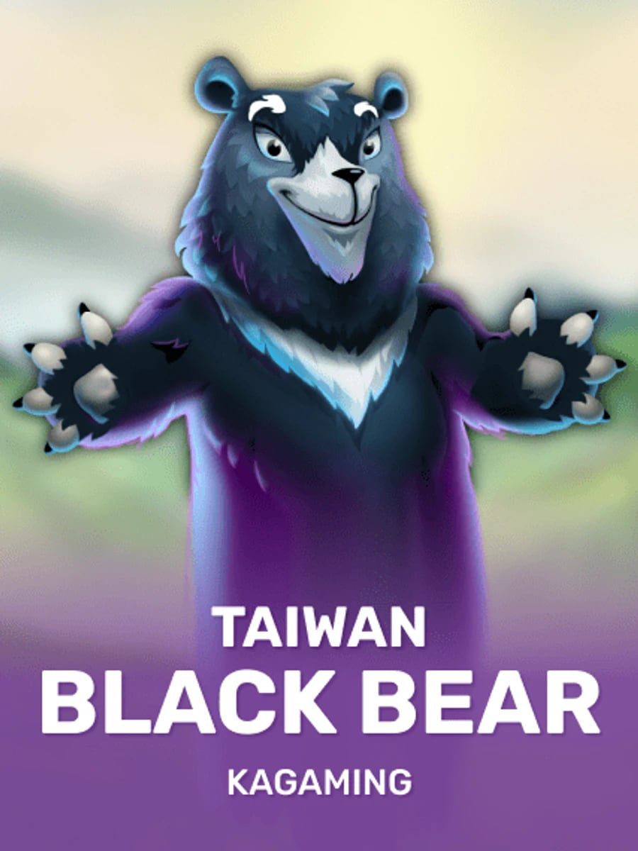 Taiwan Black Bear slot game artwork