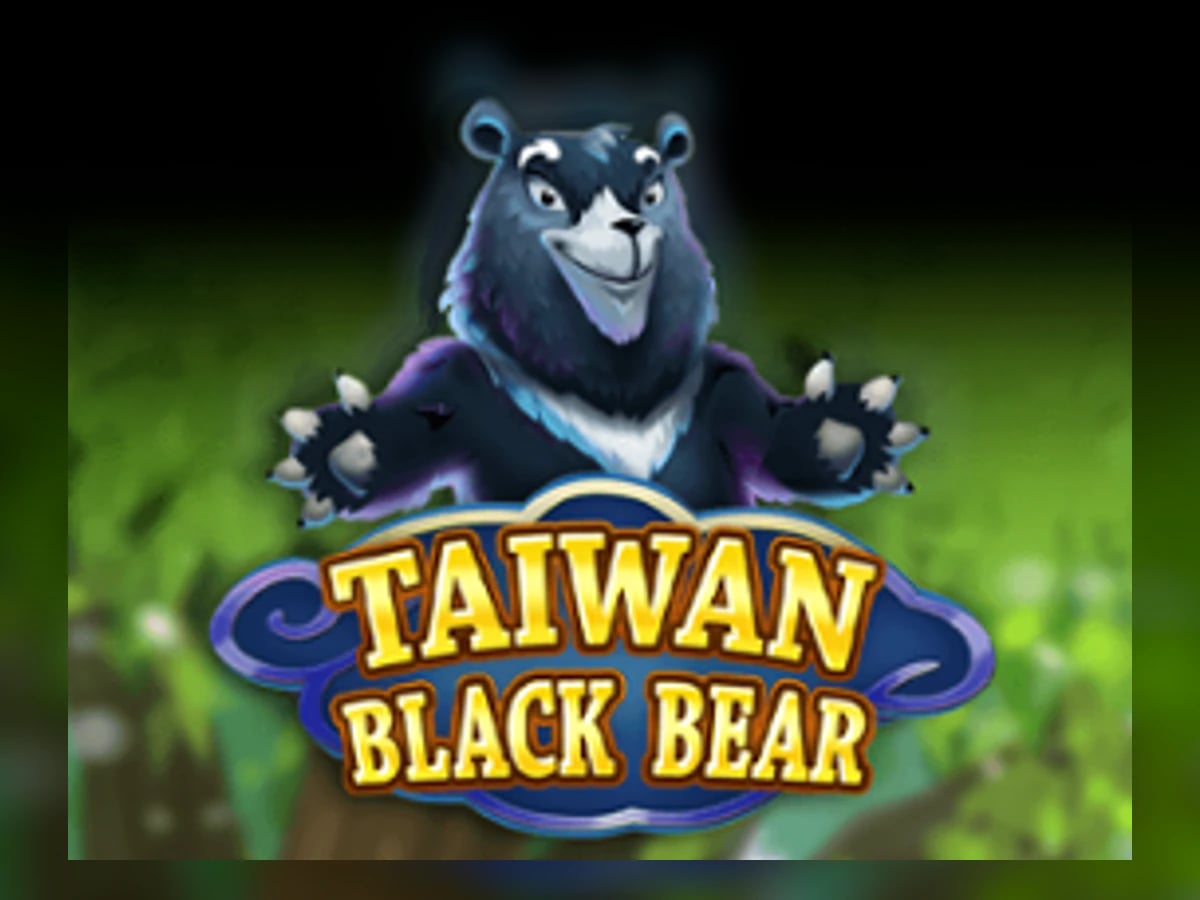 Taiwan Black Bear slot game artwork
