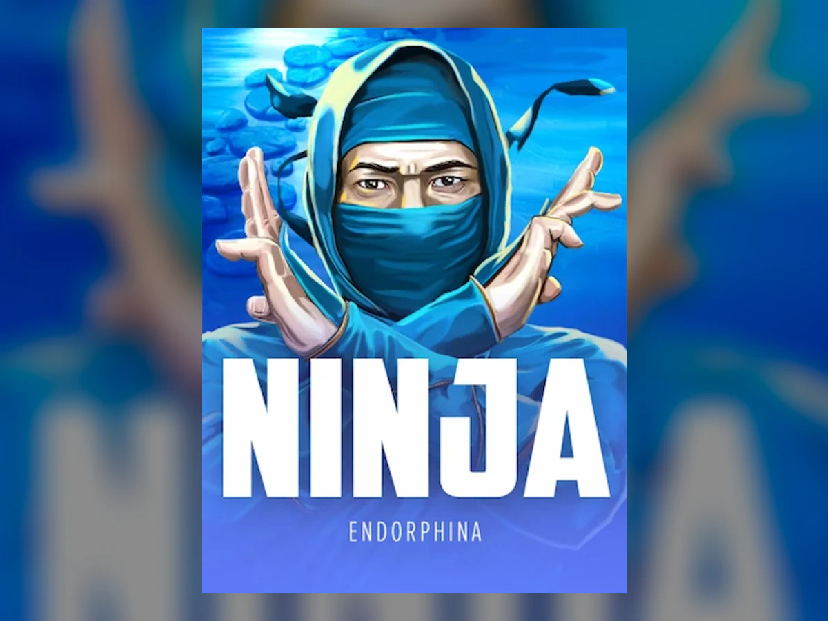 The Ninja slot game artwork