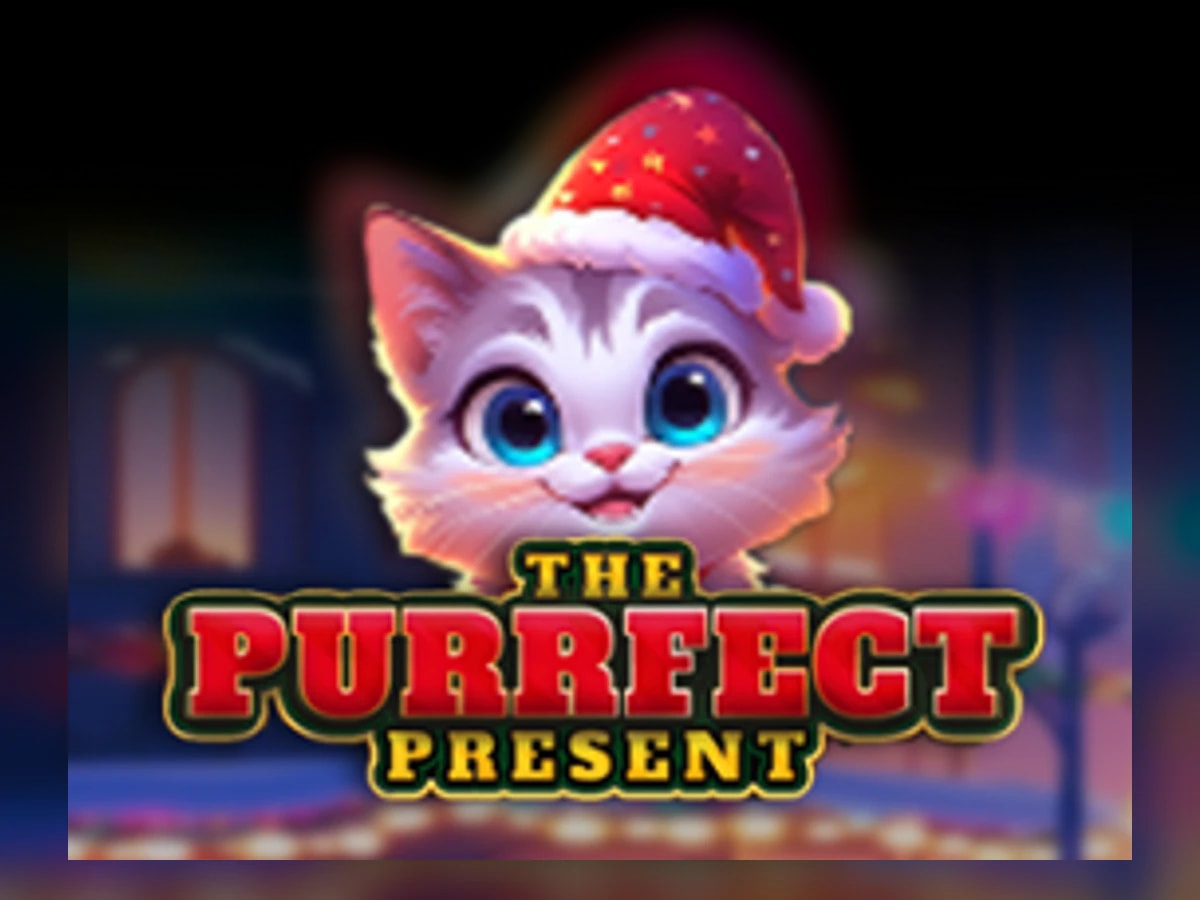 The Purrfect Present slot game artwork