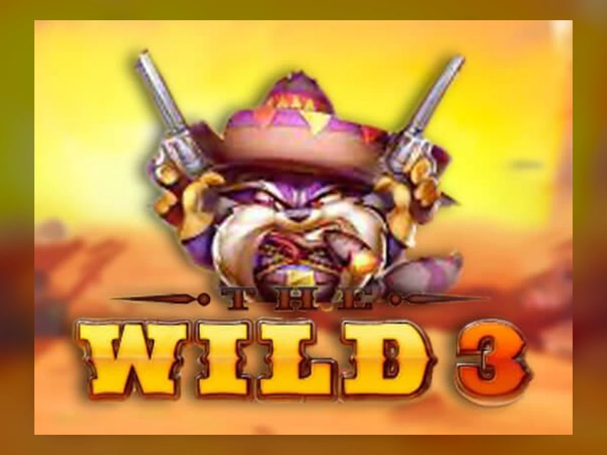 The Wild 3 slot game artwork