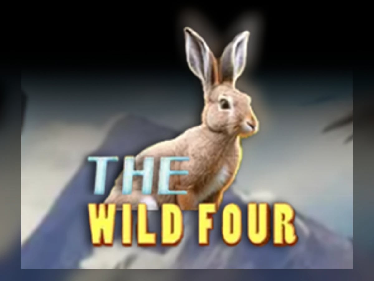 The Wild Four slot game artwork