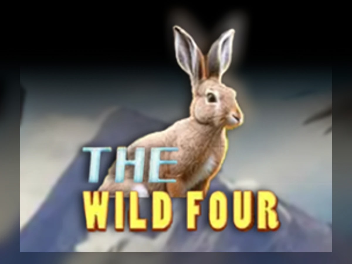The Wild Four slot game artwork