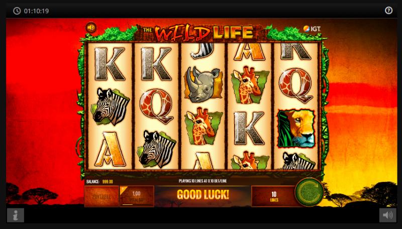 The Wild Life slot game artwork