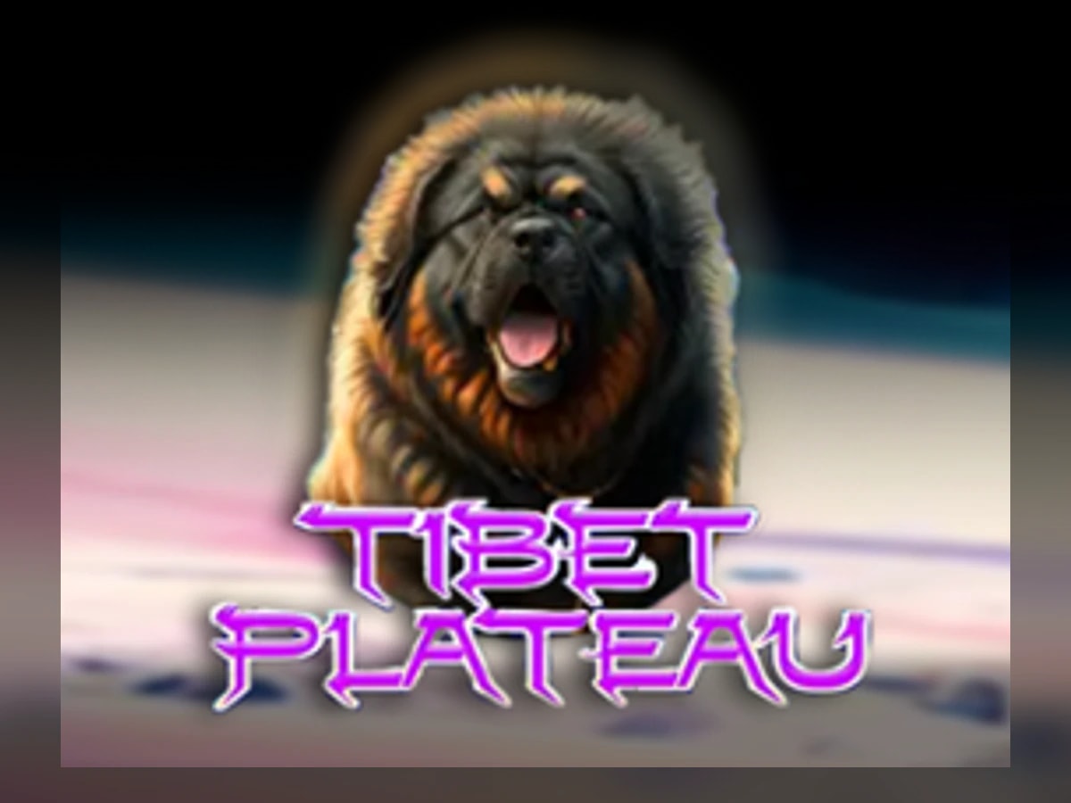 Tibet Plateau slot game artwork