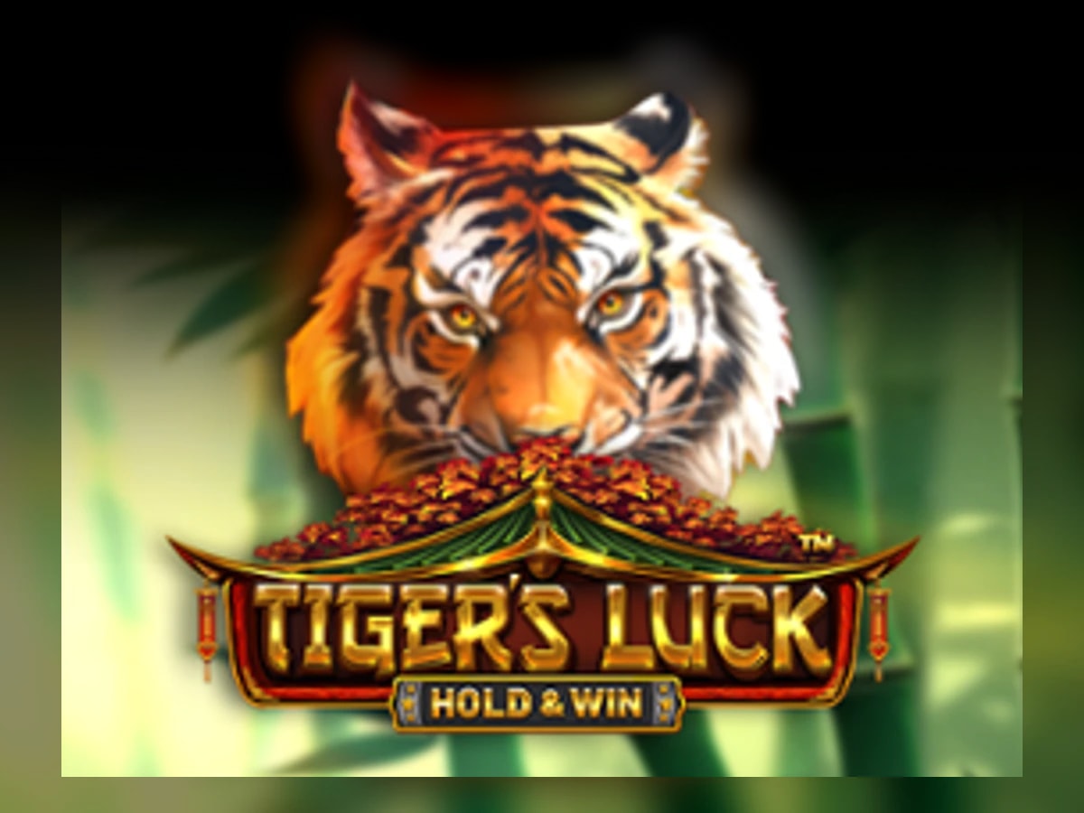 Tiger's Luck slot game artwork
