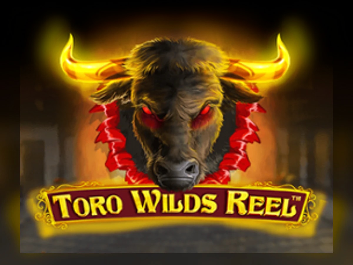Toro Wilds Reel slot game artwork