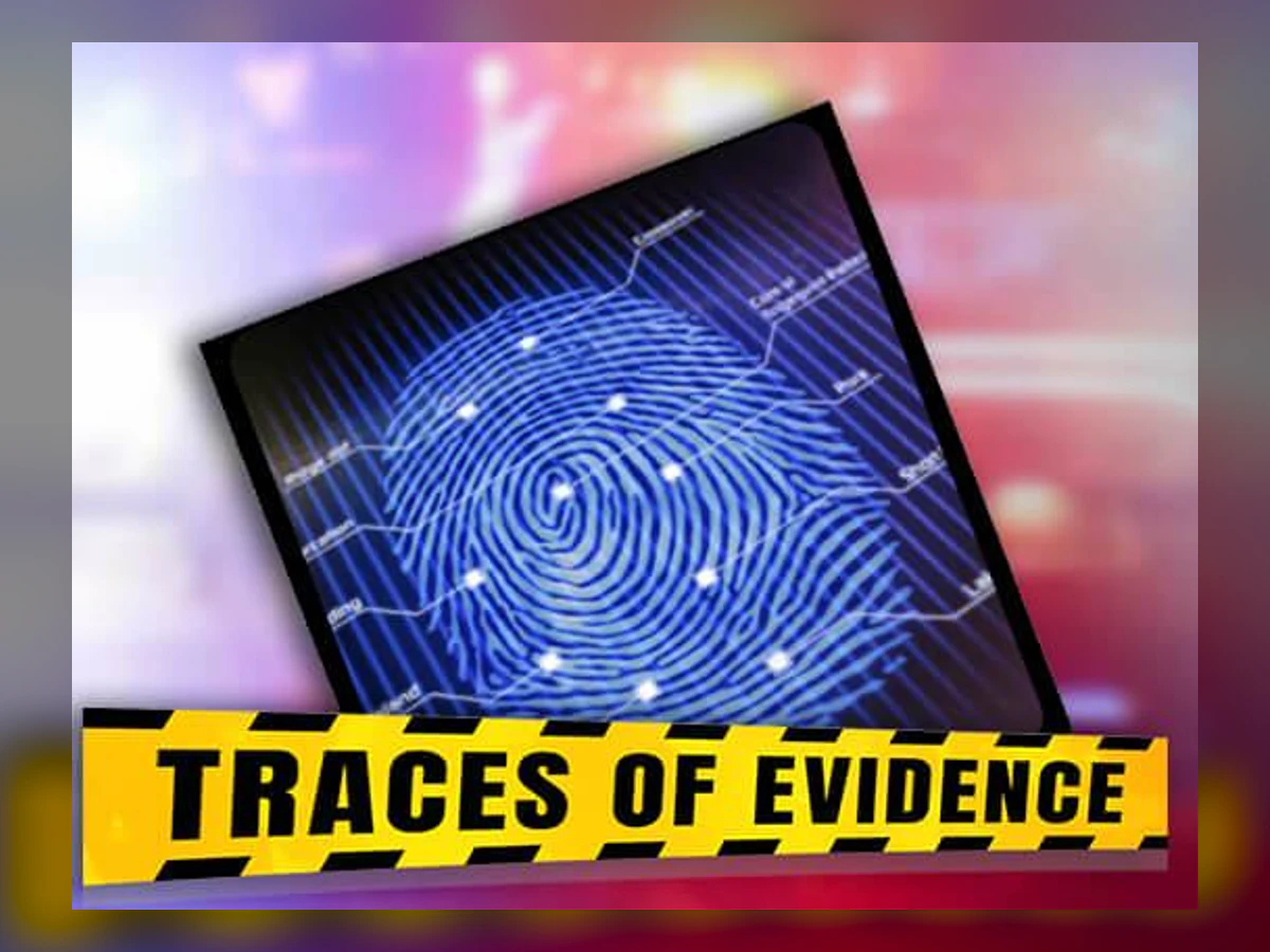 Traces of Evidence slot game artwork