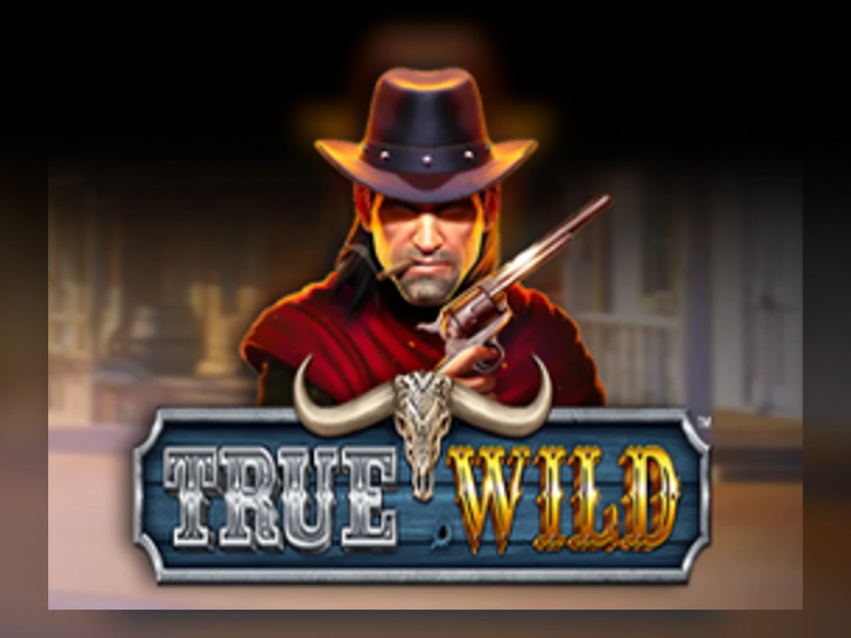 True Wild slot game artwork