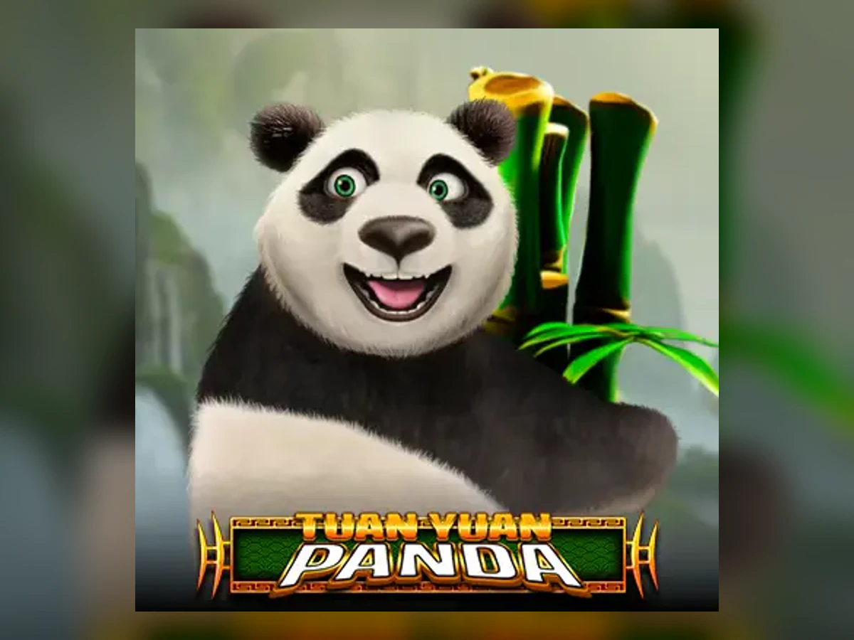 Tuan Yuan Panda slot game artwork