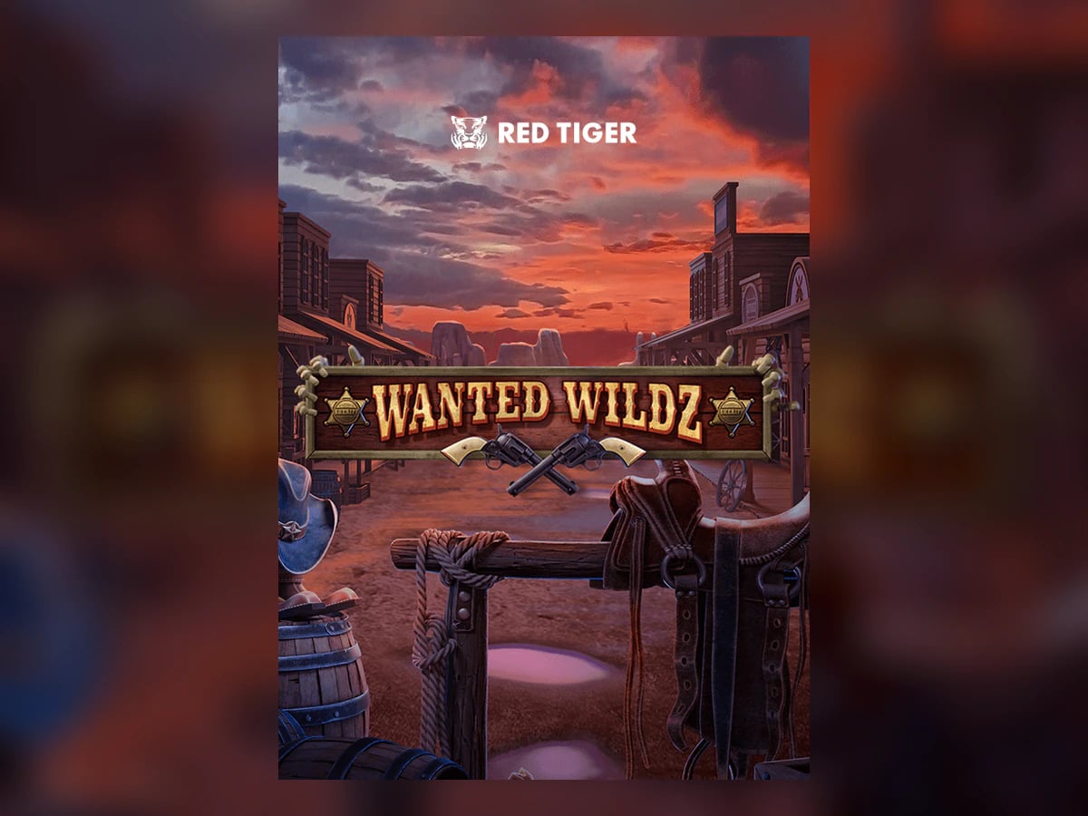 Wanted Wildz slot game artwork