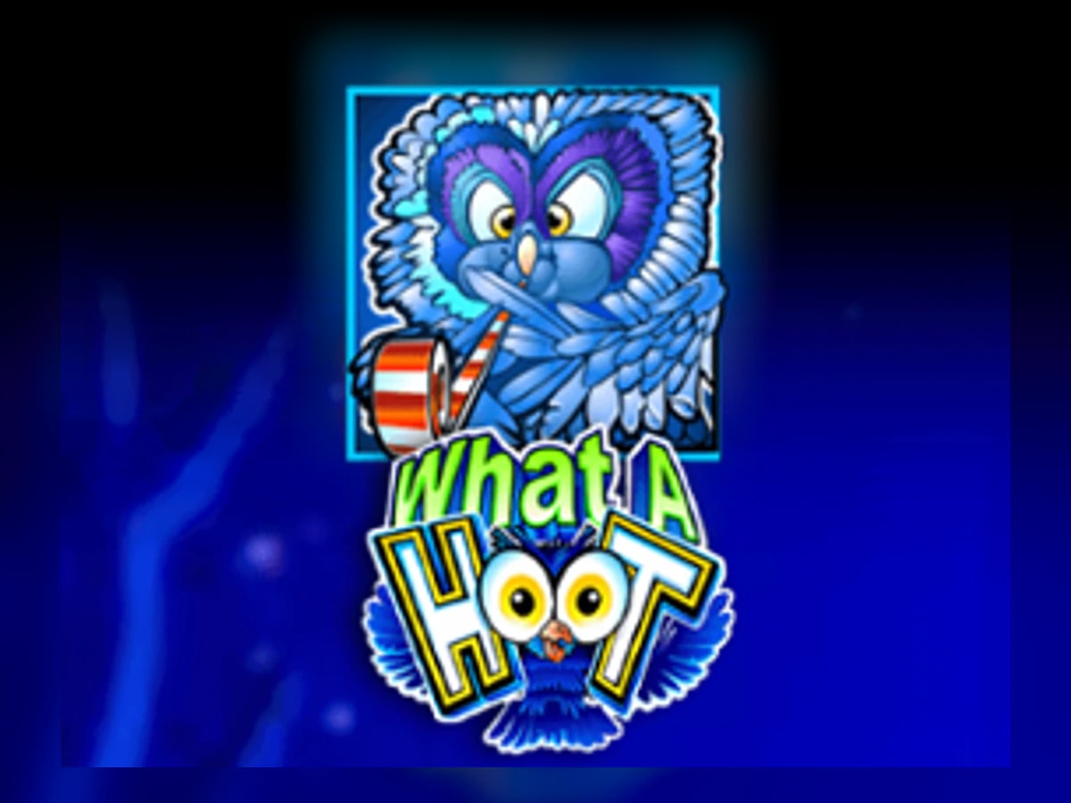 What a Hoot slot game artwork