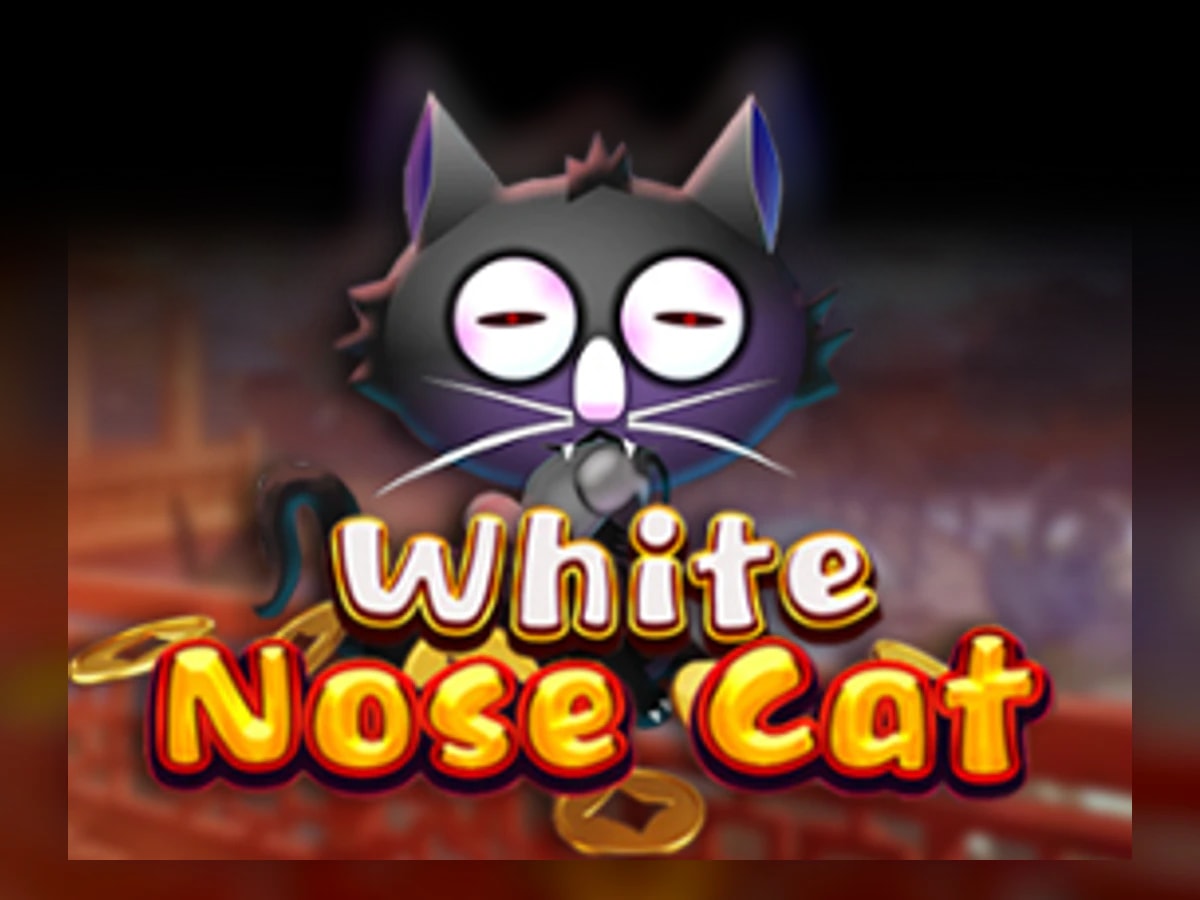 White Nose Cat slot game artwork