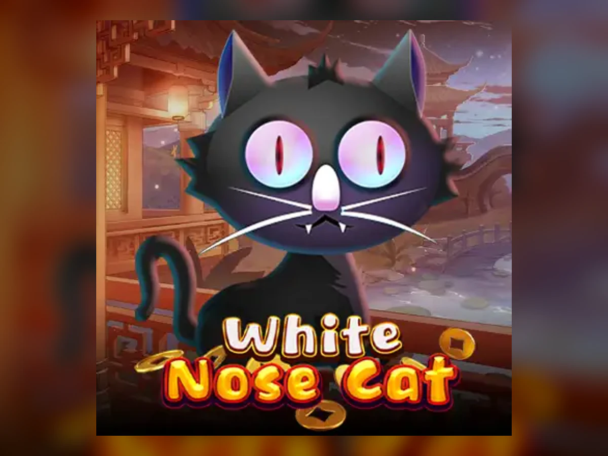 White Nose Cat slot game artwork