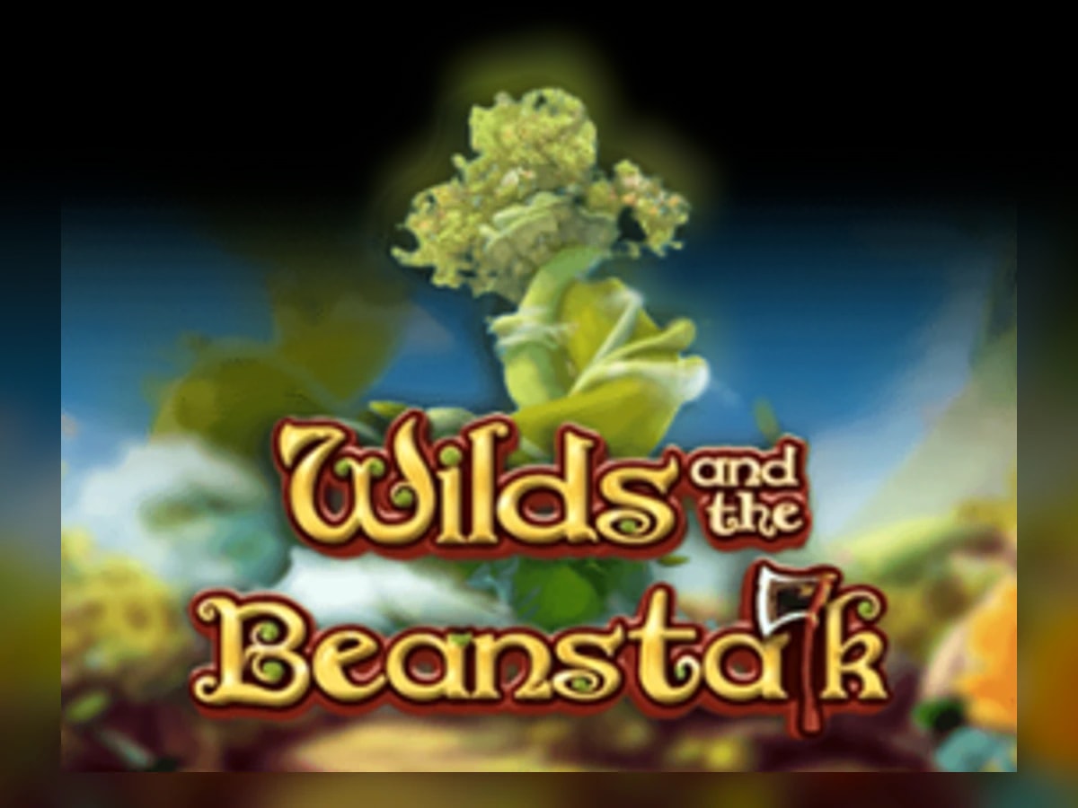 Wild and the Beanstalk slot game artwork