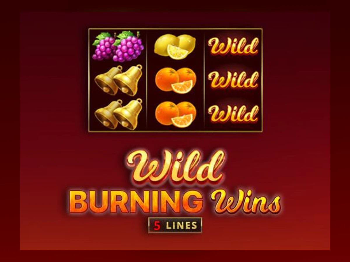 Wild Burning Wins: 5 lines slot game artwork