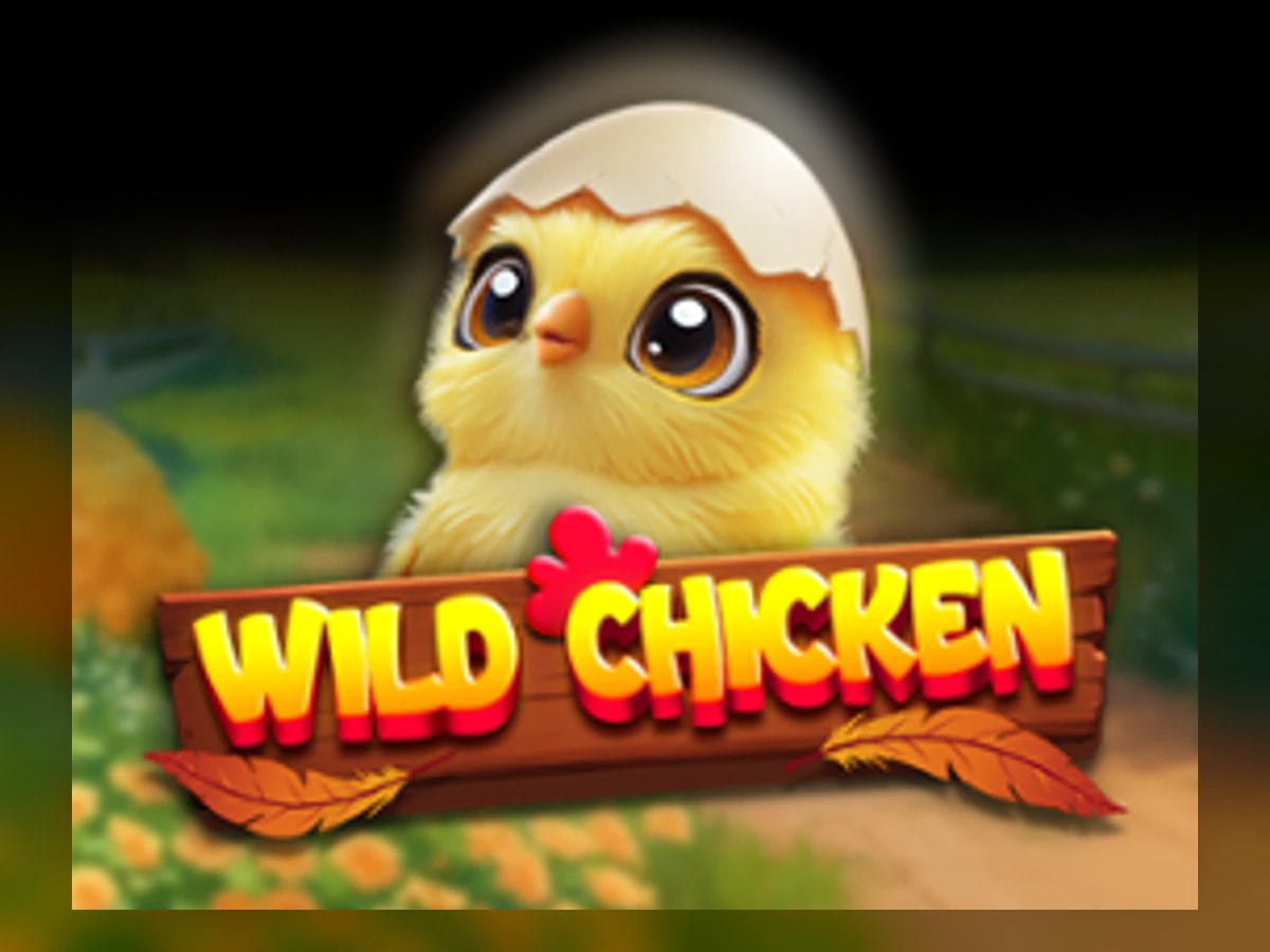 Wild Chicken slot game artwork