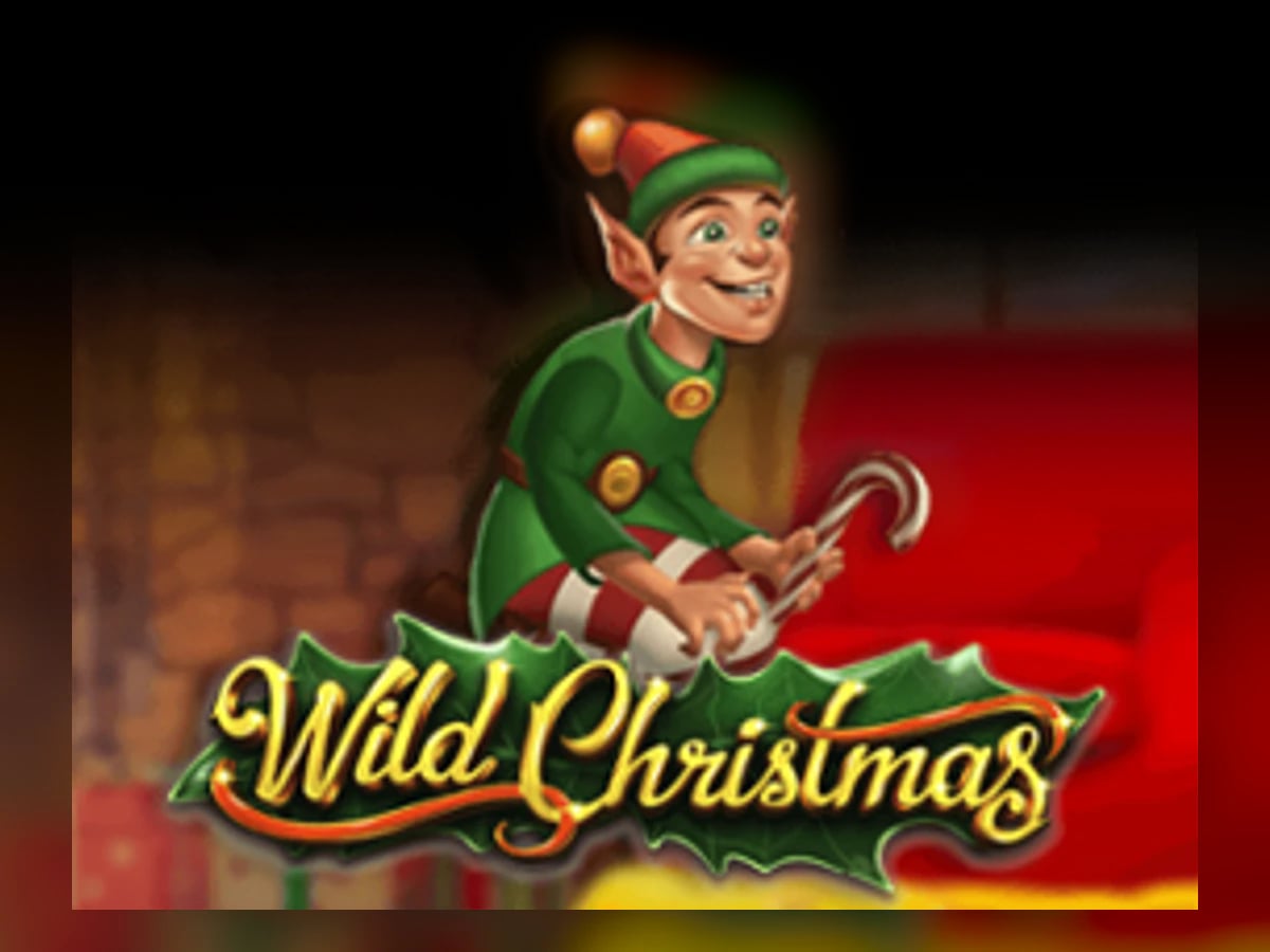 Wild Christmas slot game artwork