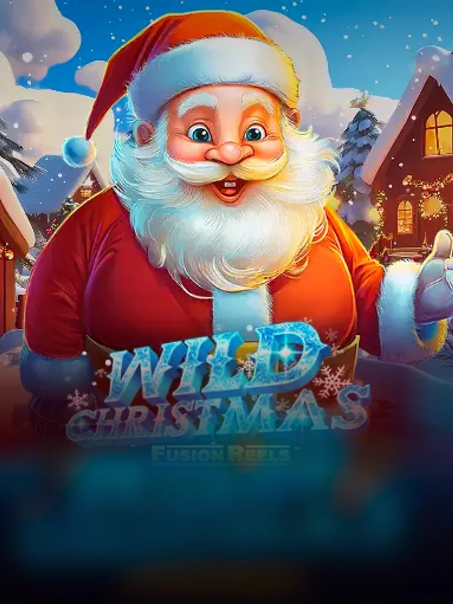 Wild Christmas Fusion Reels slot game artwork