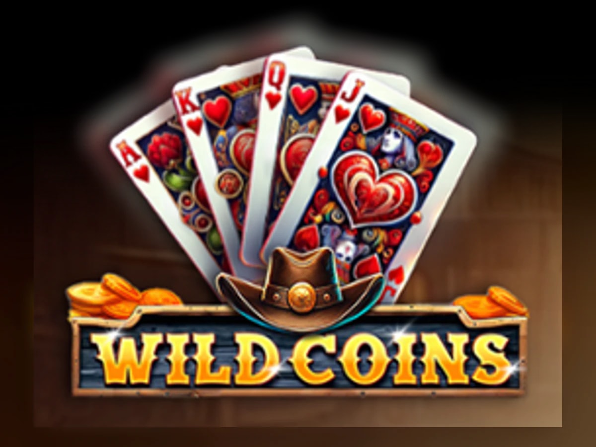 Wild Coins slot game artwork
