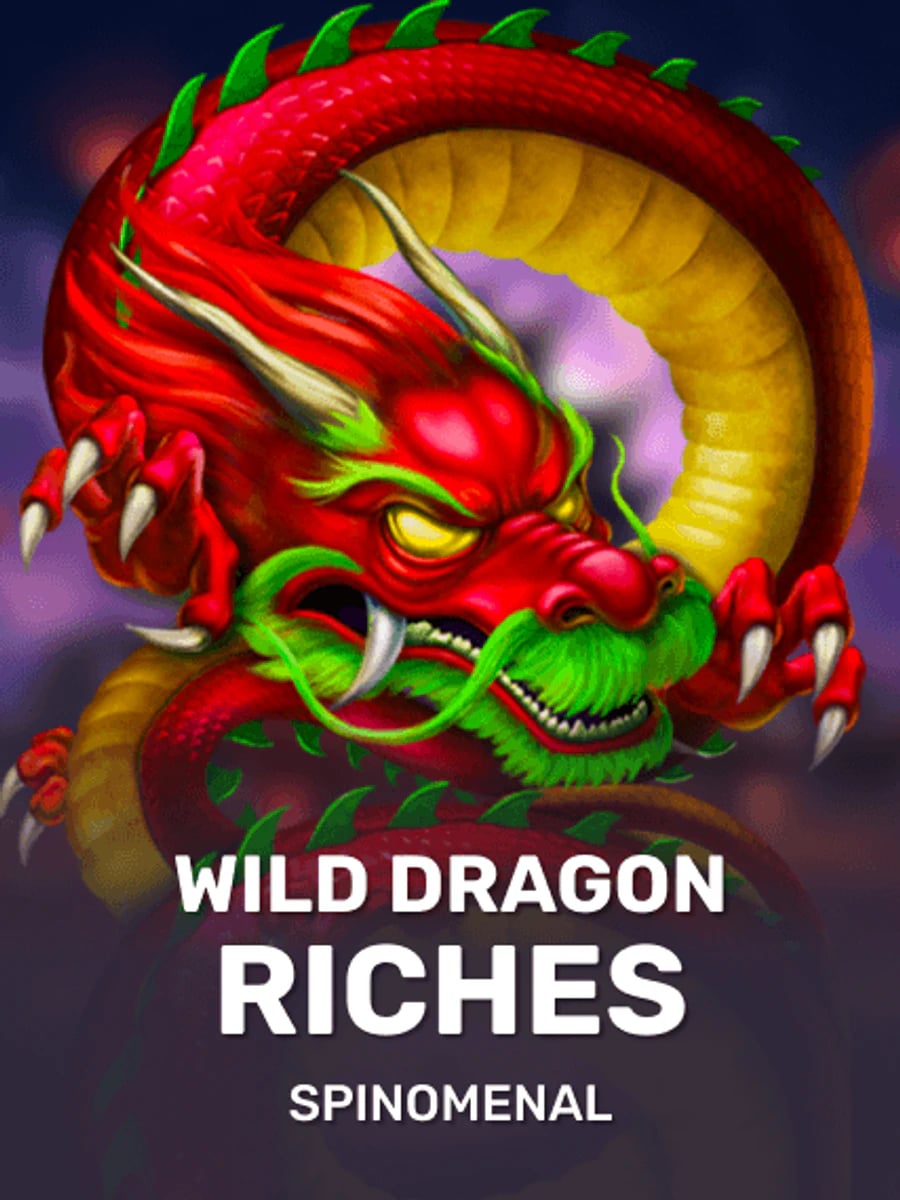 Wild Dragon Riches slot game artwork