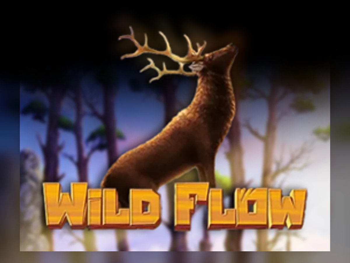 Wild Flow slot game artwork