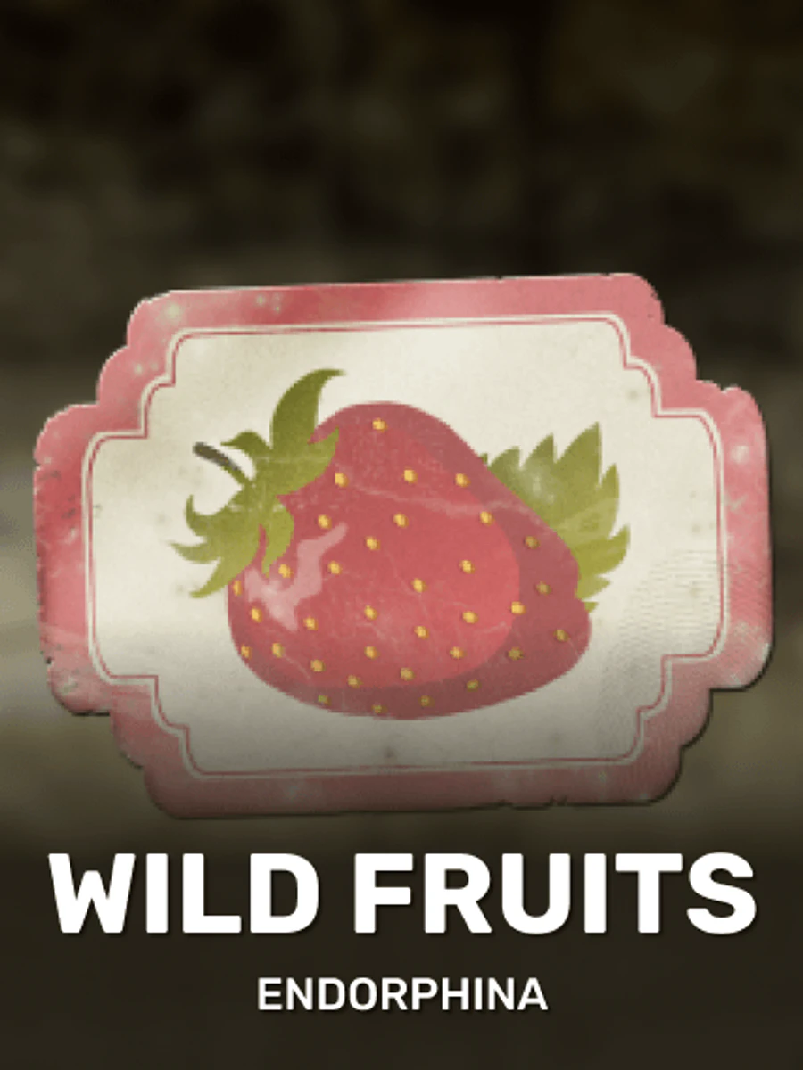 Wild Fruits slot game artwork