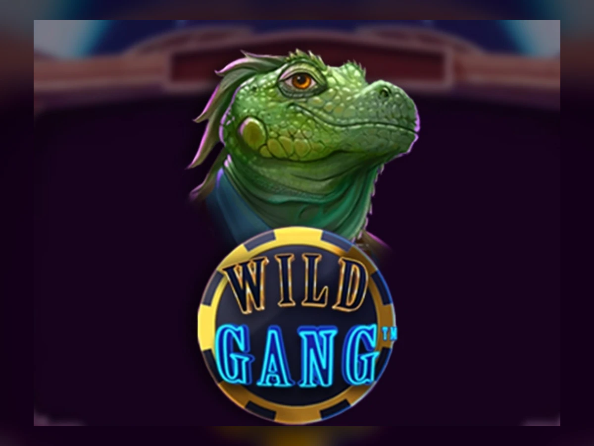 Wild Gang slot game artwork
