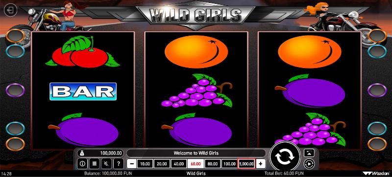 Wild Girls slot game artwork
