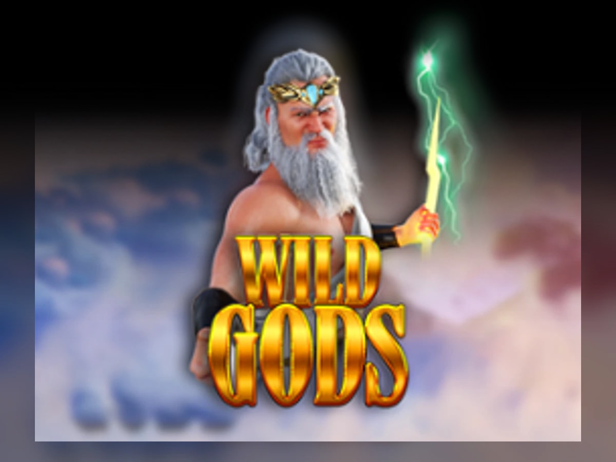 Wild Gods slot game artwork