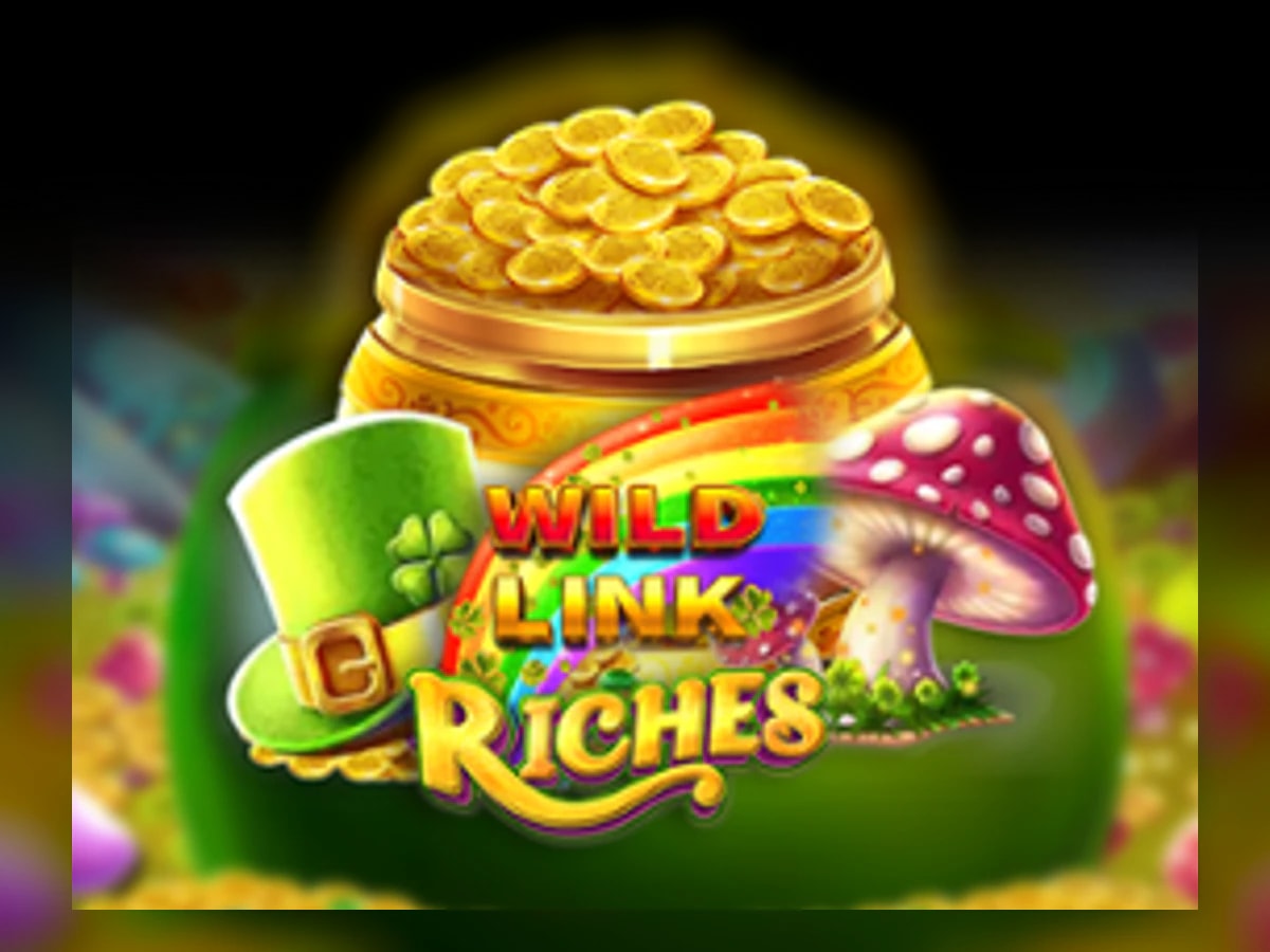 Wild Link Riches slot game artwork