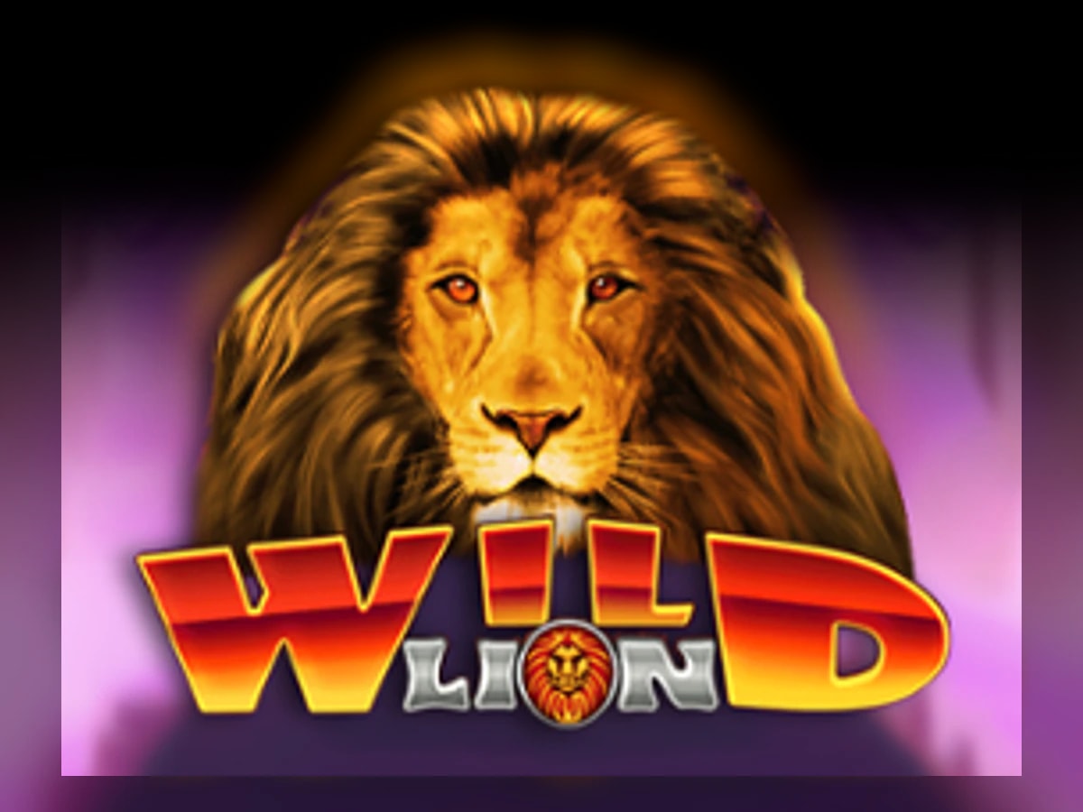 Wild Lion slot game artwork