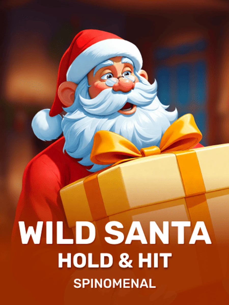 Wild Santa - Hold & Hit slot game artwork