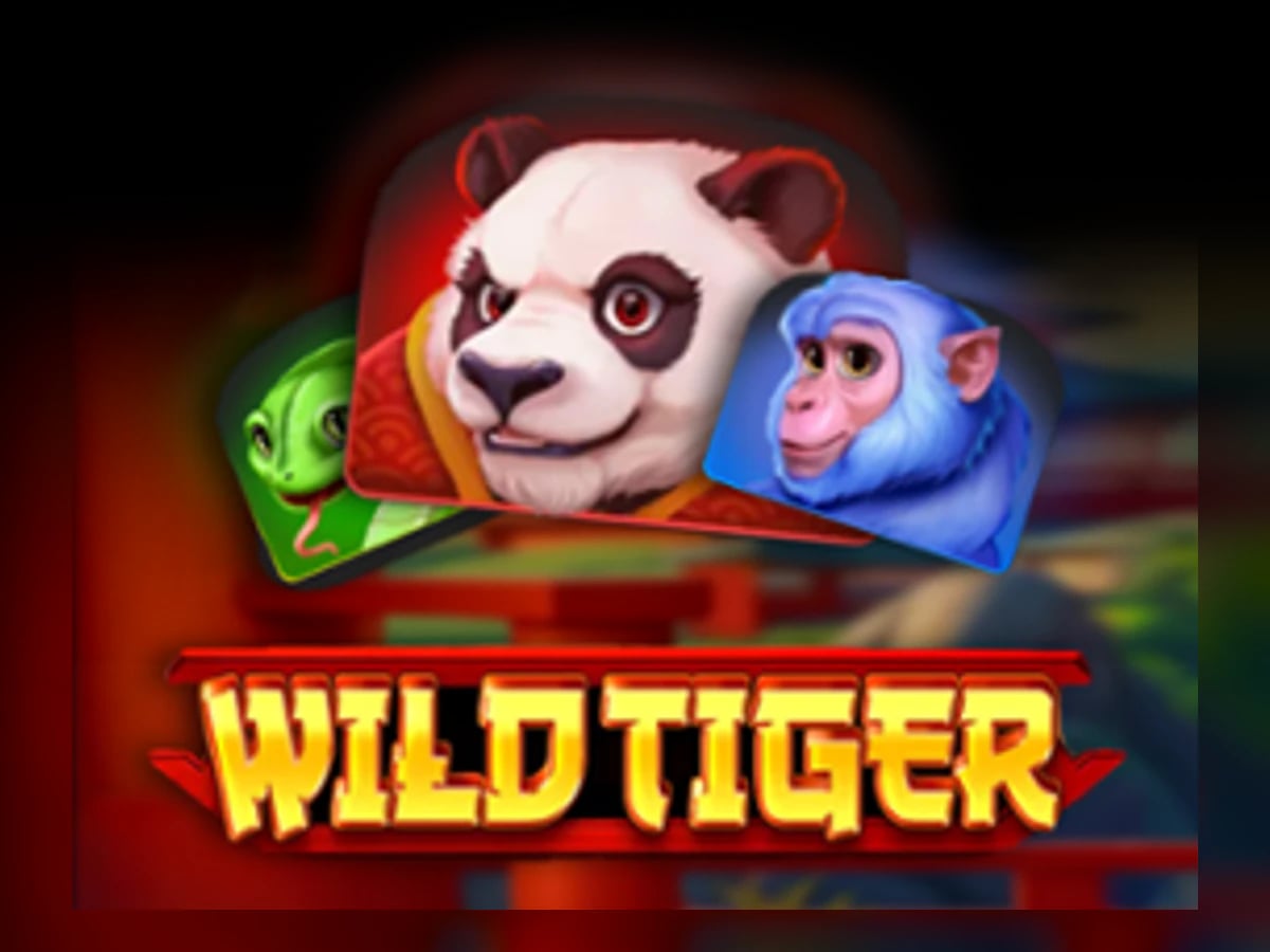 Wild Tiger slot game artwork