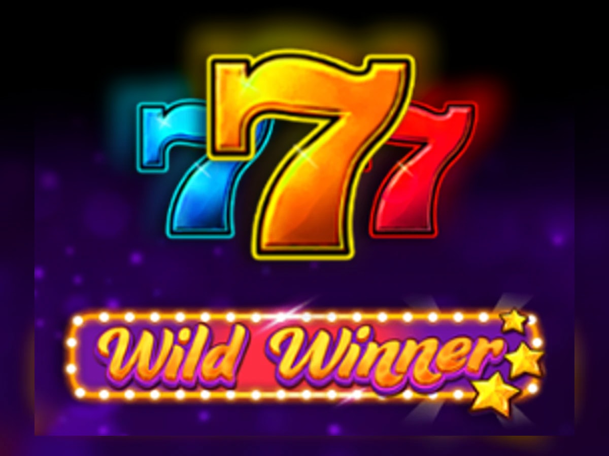 Wild Winner slot game artwork