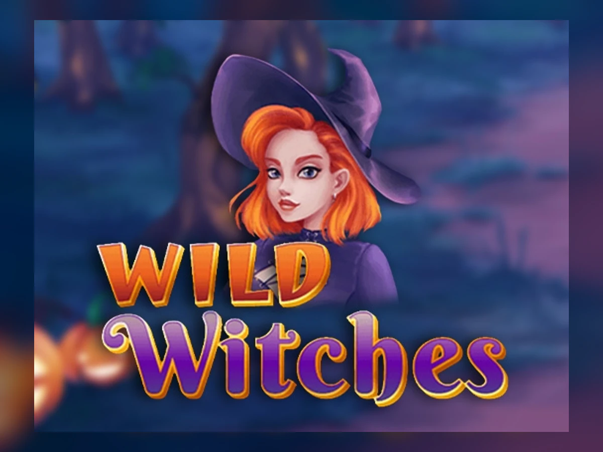 Wild Witches slot game artwork