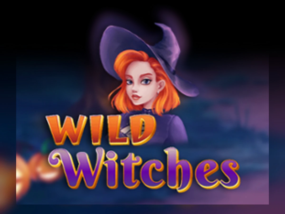 Wild Witches slot game artwork