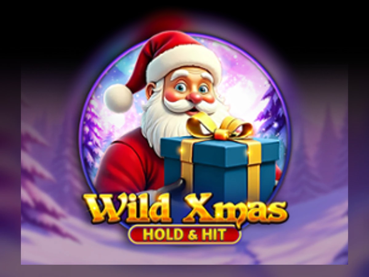 Wild Xmas Hold & Hit slot game artwork