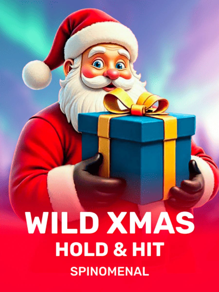 Wild Xmas Hold & Hit slot game artwork