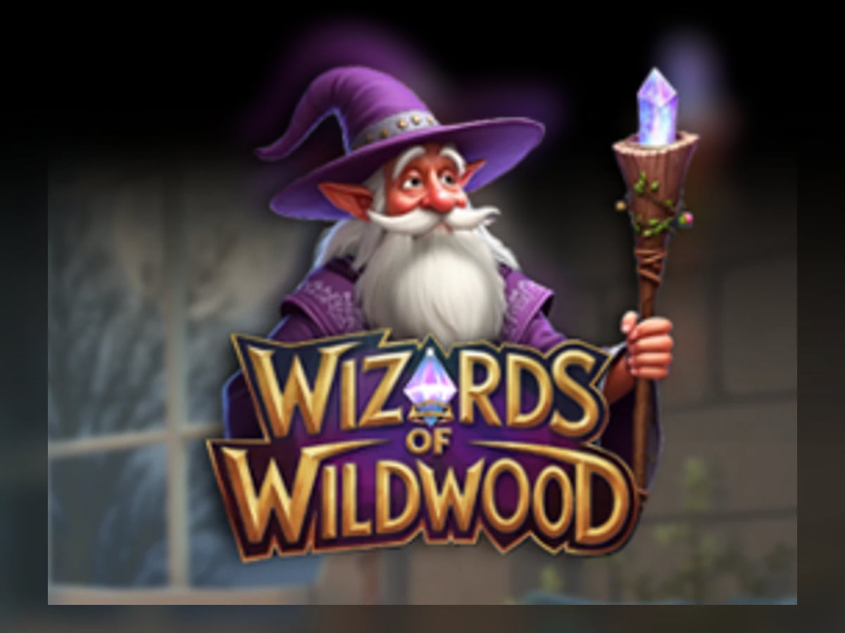 Wizards of Wild Wood slot game artwork