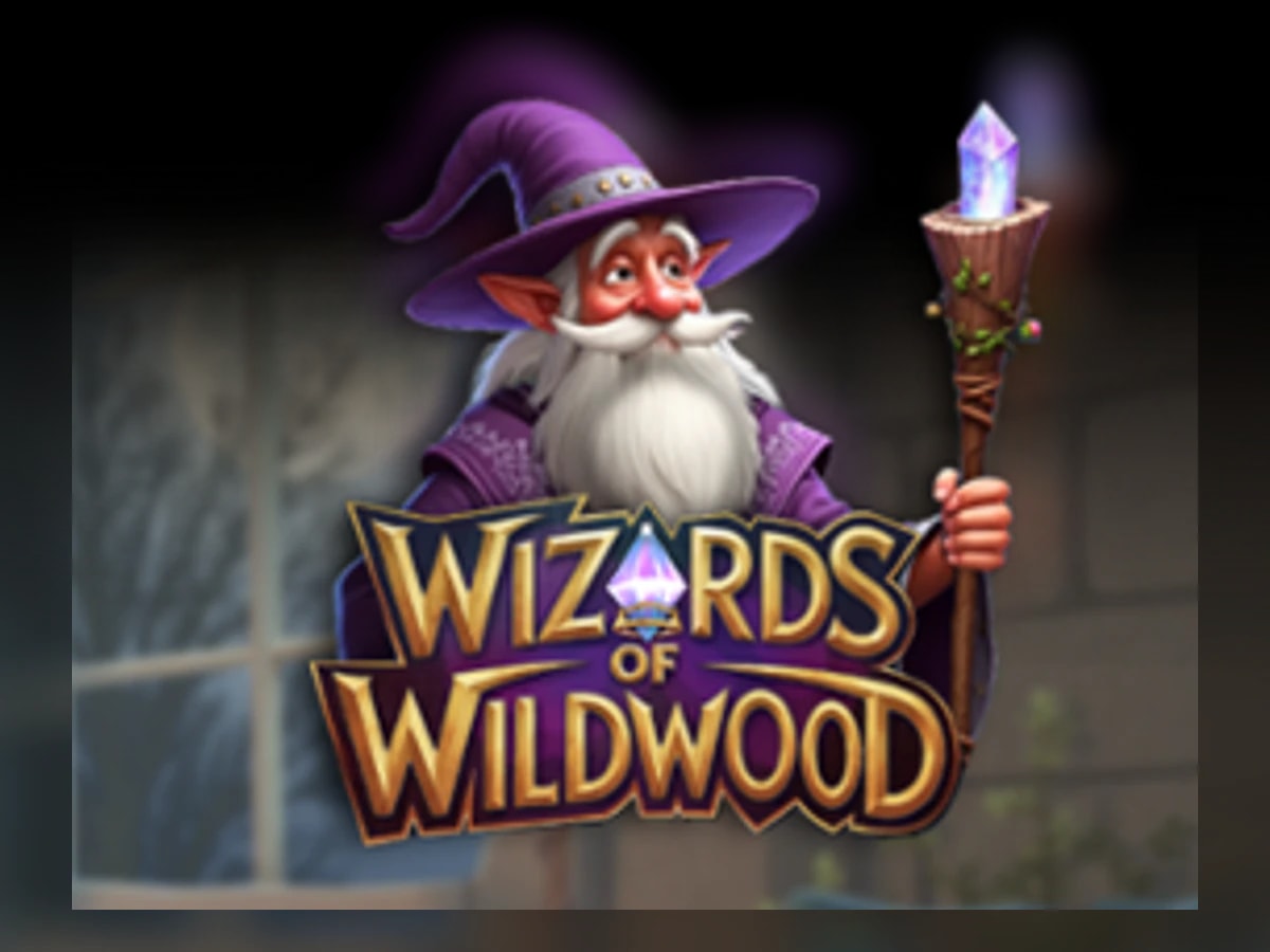 Wizards of Wild Wood slot game artwork