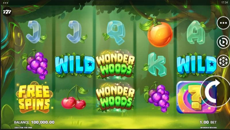 Wonder Woods slot game artwork