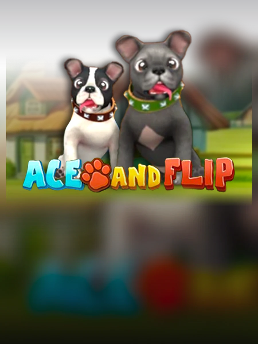 Ace and Flip slot artwork