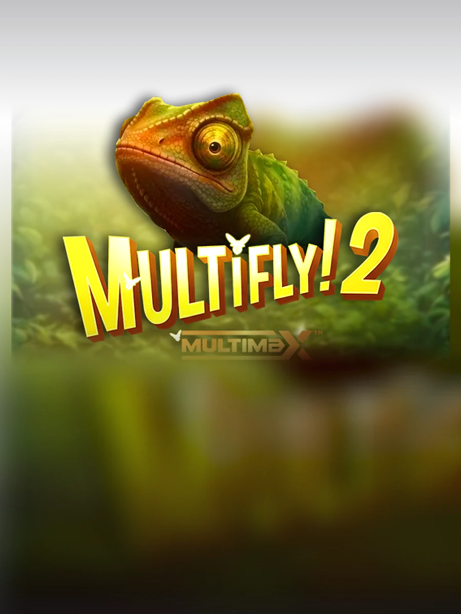 Multifly 2 slot artwork