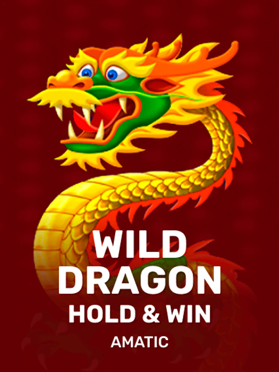 Wild Dragon Hold & Win slot artwork