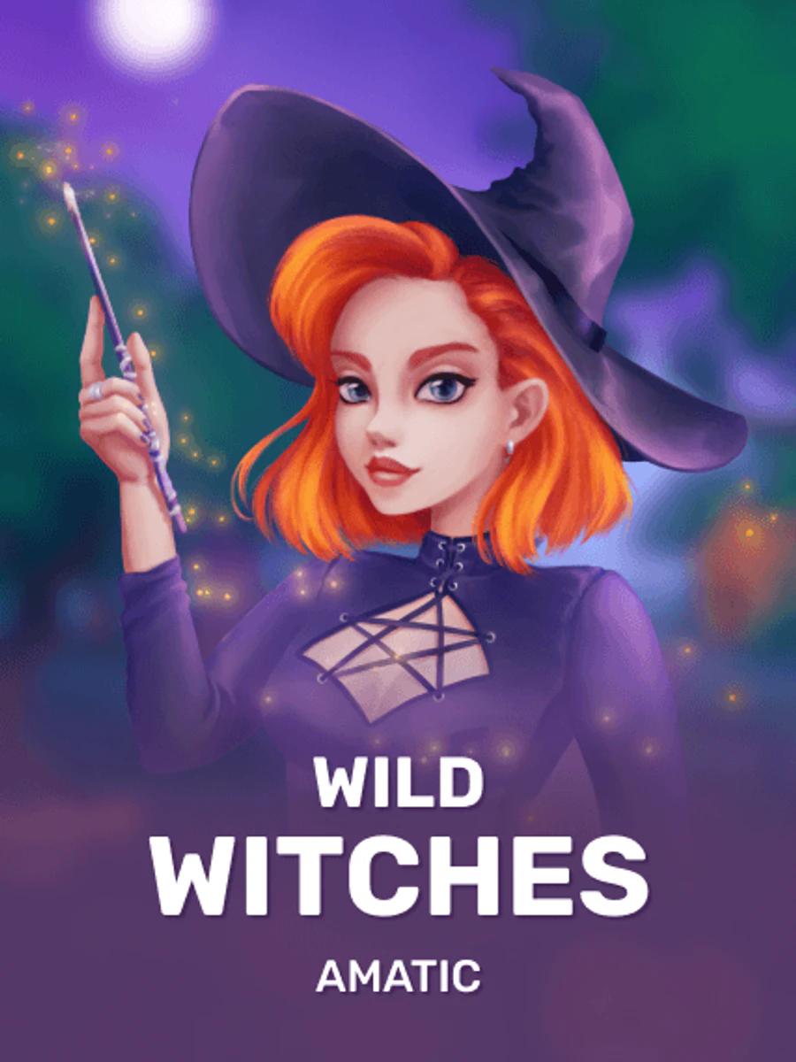 Wild Witches slot artwork